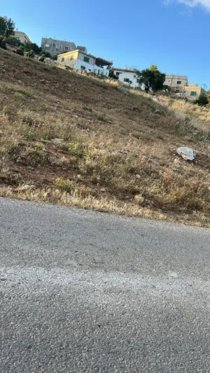 Residential Land for Sale in Ajloun Sakhra