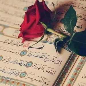 محفظ قرآن معتمد من الأزهر - تحفيظ أونلاين للأطفال عبر زووم