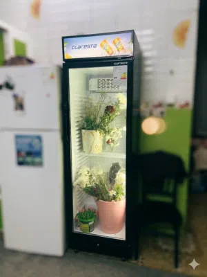 براد كلاريستا