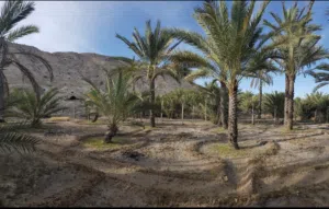 مزرعة للبيع في ولاية قريات