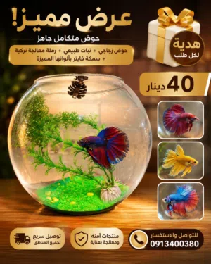 هدية خاصة مع كل طلب