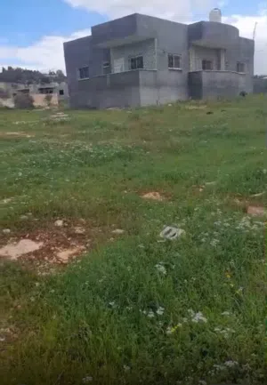 Residential Land for Sale in Jenin Deir Ghazala