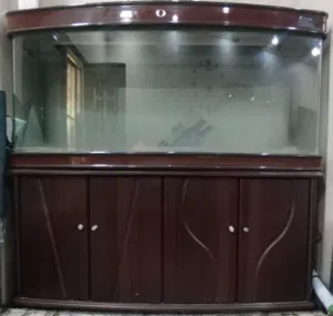 حوض سمك كبير