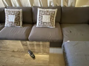 fold-out sofa