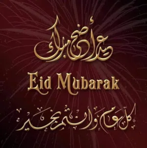 نيسان ليف موديل 2015