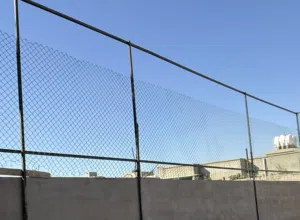شبردق مجلفن للبيع