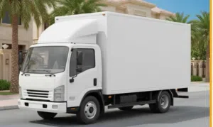 قط الأثاث والاغراض القديمة