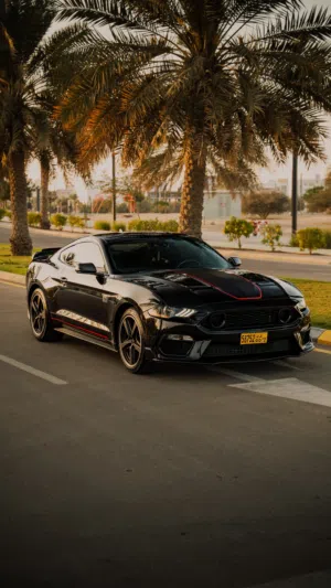 Used Ford GT in Muscat