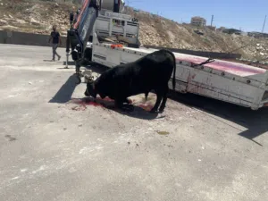 لحام متنقل