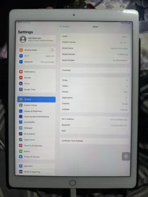 ipad pro (12.9-inch)