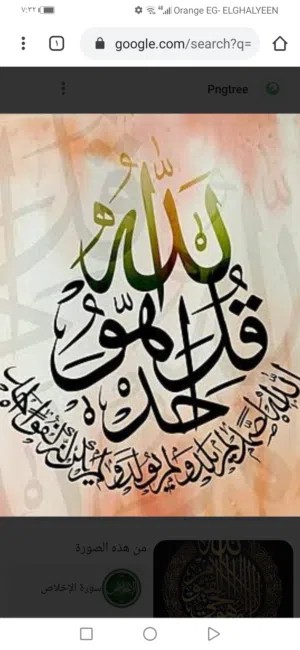 Saber Elkhawaja 