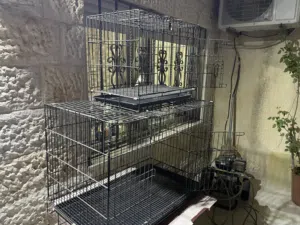 قفص بيت كلب حديد كامل بسعر مغري قابل للطي Dog cages excellent condition..