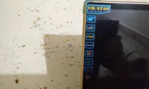 جهاز تلفاز  للبيع
