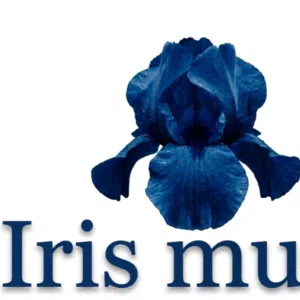 Iris musk 