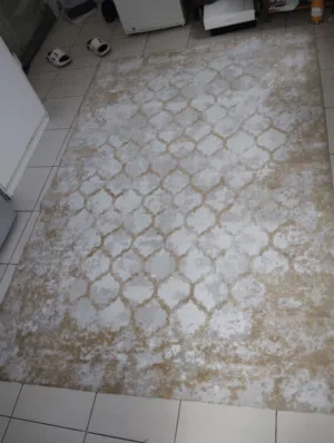 Light beige patterned area rug