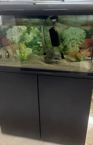 حوض سمك بمواصفات مميزة للبيع