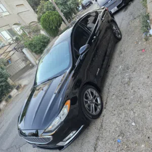 Used Ford Fusion in Amman