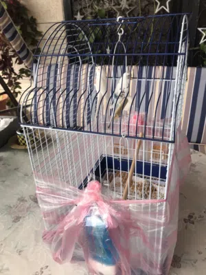 عصافير طيور الحب لون ابيض وازرق نظاف كتير وحلوين مع القفص وقفصه كبير وجديد