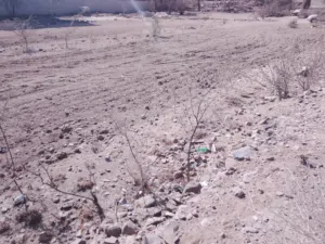 Mixed Use Land for Sale in Sana'a Al Sabeen