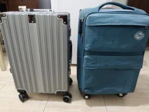 شنطتين للبيع معا