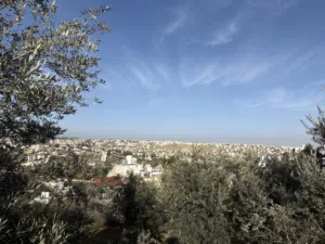 للبيع بسعر مناسب