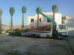 ‏أشجار - نباتات‏1