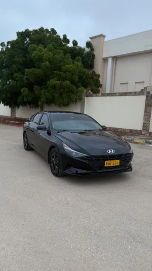 النترا 2023