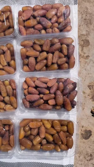 تمر دقلة درجة اولى حفاضات نص كيلو صافي اقرأ الوصف