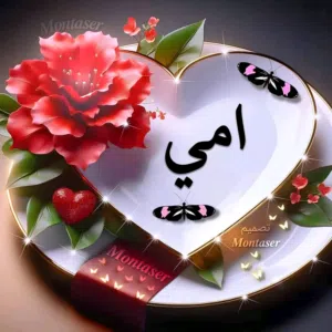 محمود علاء الدين 
