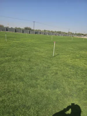 معشب طبيعي