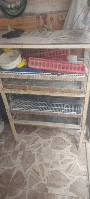 قفص فري طابقين بسعر حرق