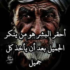 صدى الوادي 