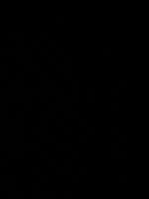 ايفون اكس اس ماكس