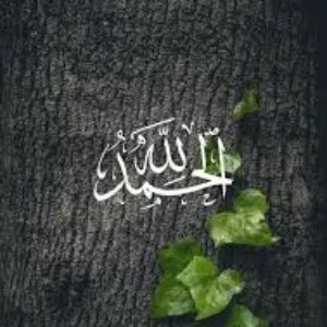 bassam 