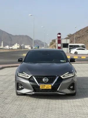 Nissan maxima 2020 sr الفول