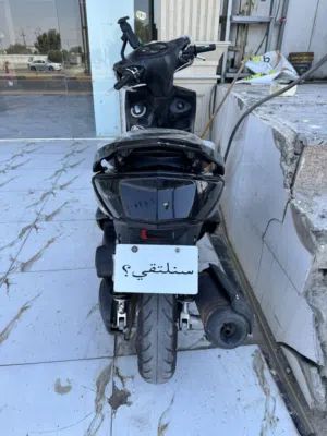 سكنس فحل ياباني اصل