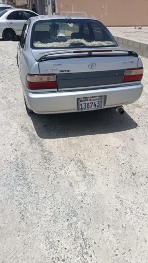 كوريلا للبيع