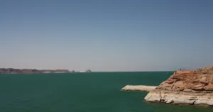 Farm . 3000 feddan . Agent4