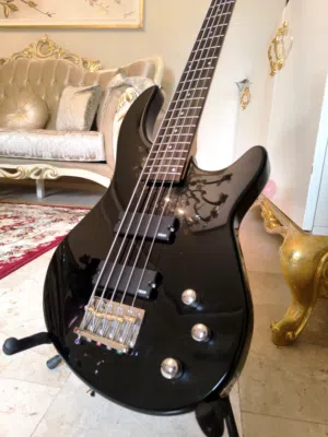 bass بيز جيتار ديين كوري 5 اوتار
