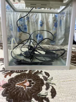 حوض سمك مع الطوفات والحصو
