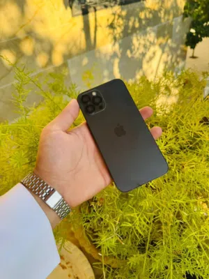 بسم الله ما شاء الله  12 pro max  بسعرررررررررررر حررررررررررق