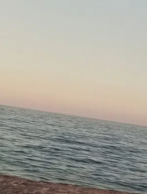 محمد 