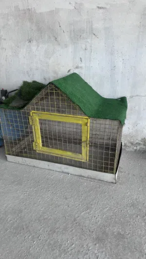 قفص صقر للبيع