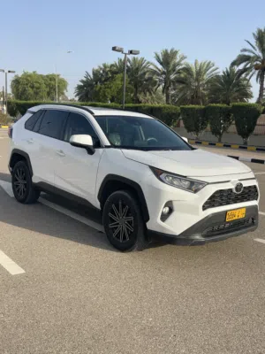 للبيع تويوتا راف فور4 XLE 2019 فورويل)