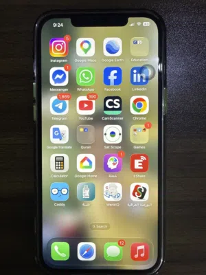 ايفون 12 بروماكس 256