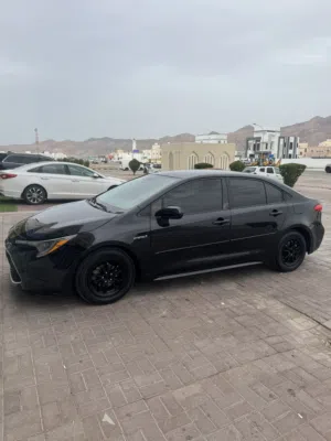 Used Toyota Corolla in Muscat