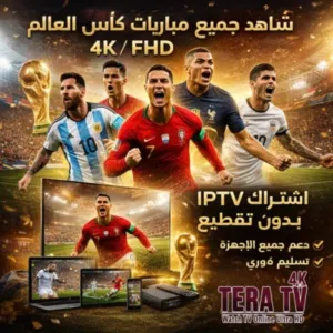 Android TV Box vs DVB Set Top Box: perché Android TV Box 4K è la ... Tanix Android TV Box