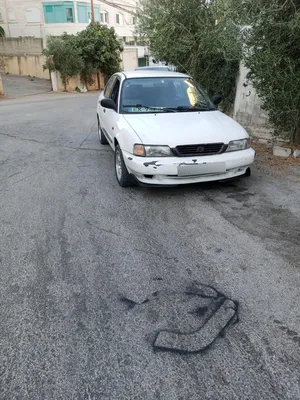 ثائر-ابو-البشير