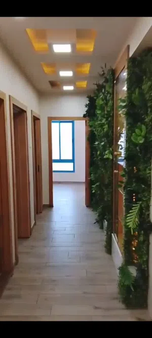 ابو مدحت جرادات