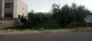 اراضي للبيع
